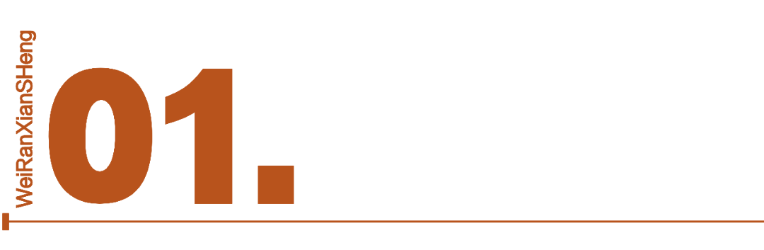  【年报深度】阳光电源2025：储能业务占比首超逆变器，季度利润断层暴露结构性隐忧 股票财经