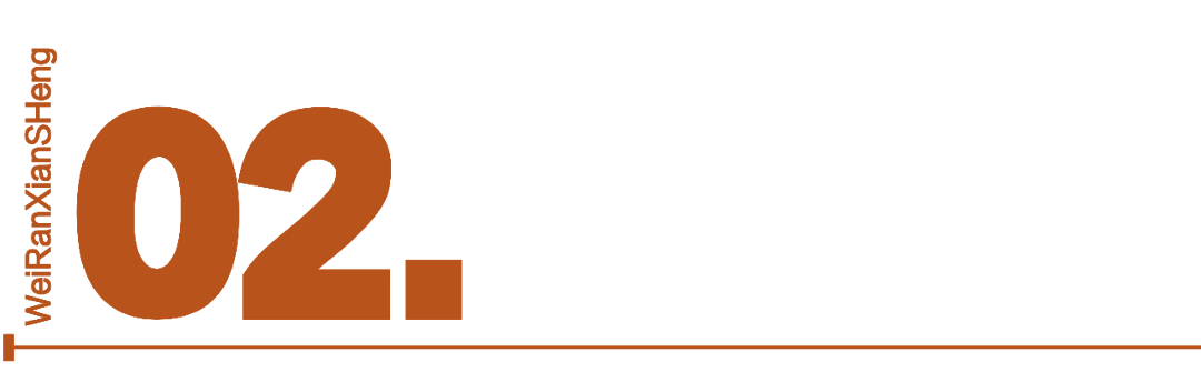  【年报深度】阳光电源2025：储能业务占比首超逆变器，季度利润断层暴露结构性隐忧 股票财经