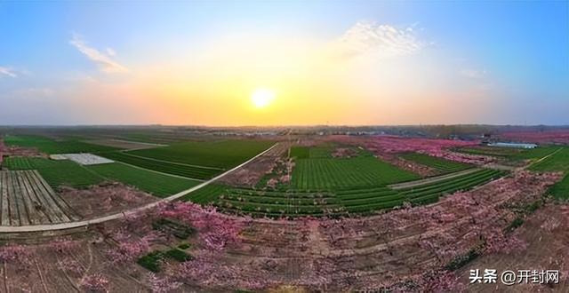  技术解码：尉氏县榆林郭村如何用万亩桃林撬动7万游客流量 文化旅游 技术解码：尉氏县榆林郭村如何用万亩桃林撬动7万游客流量 文化旅游 技术解码：尉氏县榆林郭村如何用万亩桃林撬动7万游客流量 文化旅游