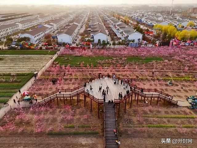  技术解码：尉氏县榆林郭村如何用万亩桃林撬动7万游客流量 文化旅游 技术解码：尉氏县榆林郭村如何用万亩桃林撬动7万游客流量 文化旅游 技术解码：尉氏县榆林郭村如何用万亩桃林撬动7万游客流量 文化旅游