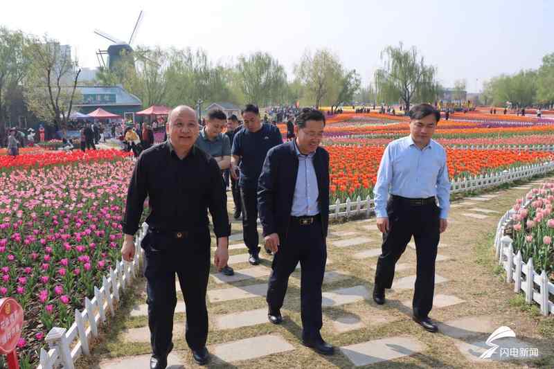  从秦皇河郁金香花展，透视滨州城市精细化管理的底层逻辑 新闻 从秦皇河郁金香花展，透视滨州城市精细化管理的底层逻辑 新闻