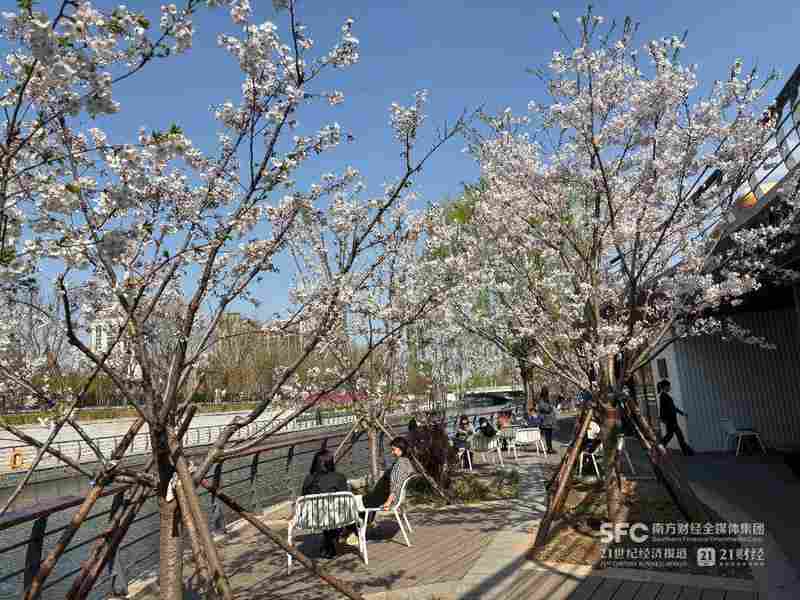  数据透视：2026年春假经济如何重塑中国文旅消费格局 文化旅游