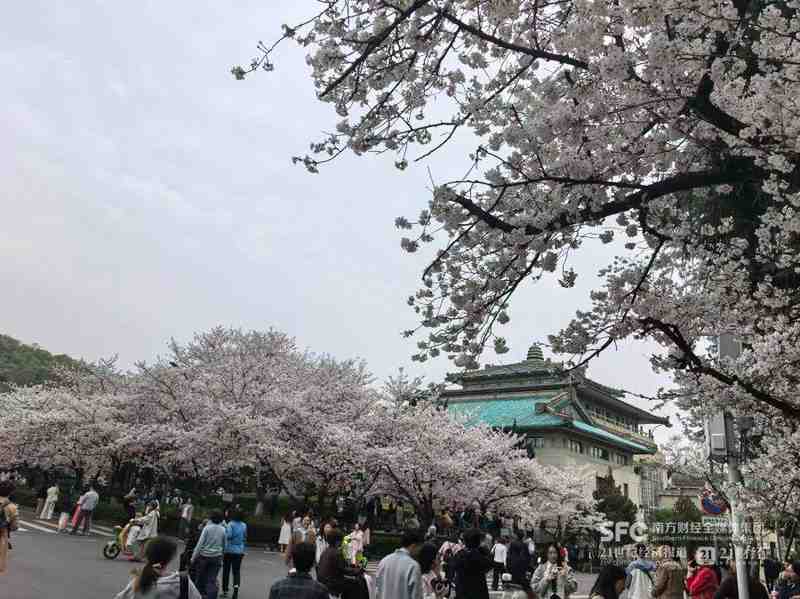 数据透视：2026年春假经济如何重塑中国文旅消费格局 文化旅游