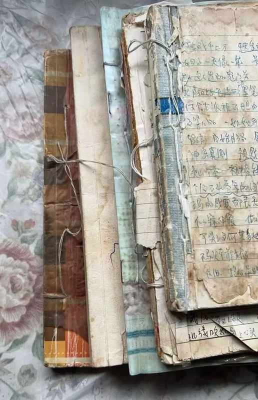  查重技术如何撕开文坛皇帝的新衣：一个技术宅的逆向拆解 IT技术