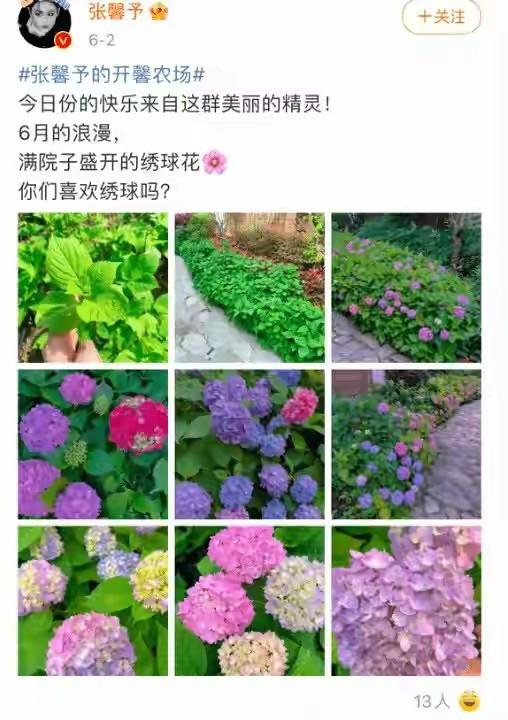  张馨予嫁给何捷七年，才明白什么叫“嫁对了人” 情感心理