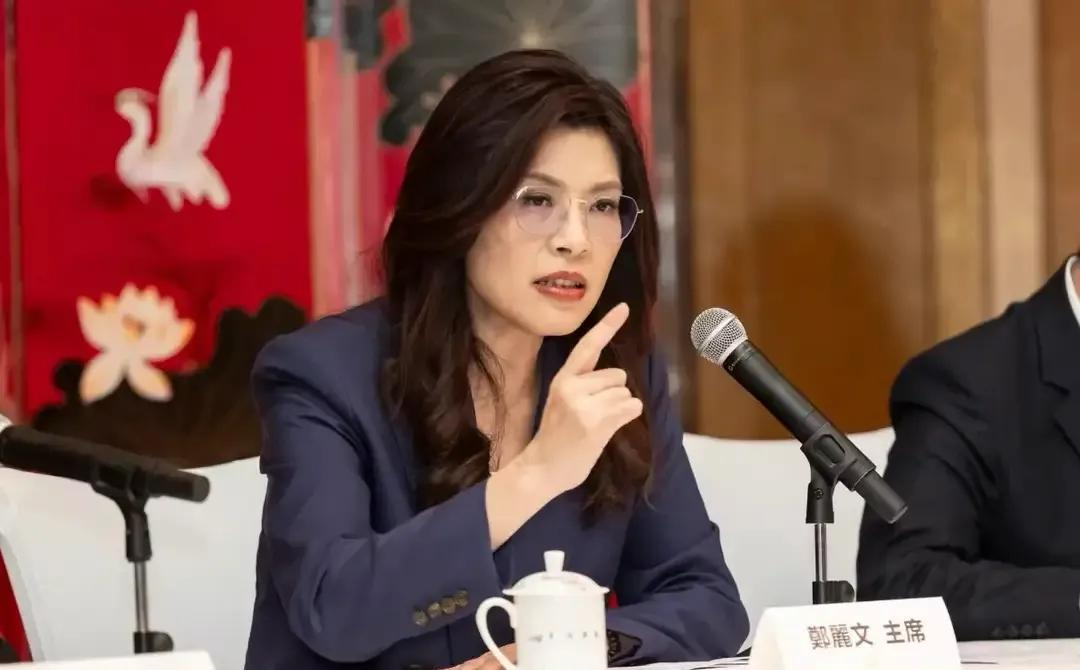  【政治博弈深度解析】国民党甲级动员令：台海局势的蝴蝶效应与技术破局 新闻