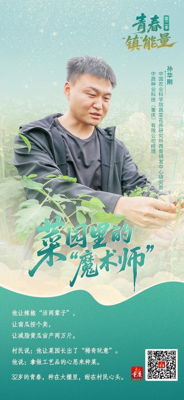  【农业育种技术深度】一粒种子的产业革命：孙华刚的十字花科蔬菜育种方法论 IT技术