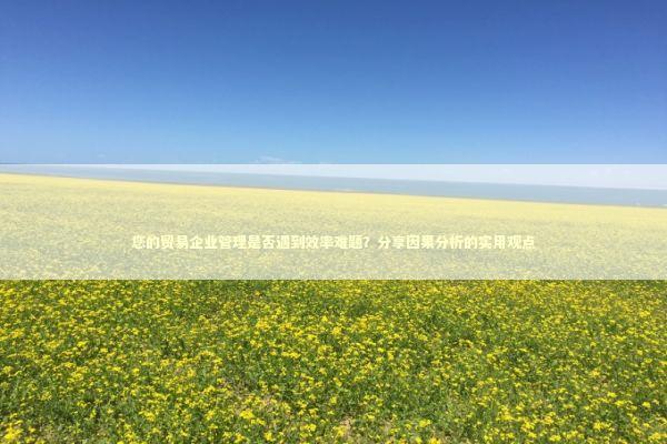 您的贸易企业管理是否遇到效率难题？分享因果分析的实用观点 新闻