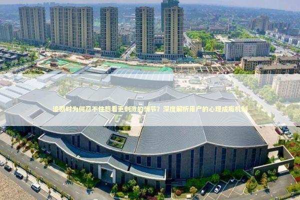 追剧时为何忍不住想看更刺激的情节？深度解析用户的心理成瘾机制