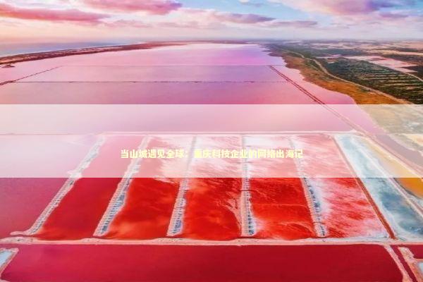 当山城遇见全球：重庆科技企业的网络出海记 IT技术