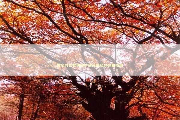 数字时代如何守护通讯隐私的完整指南