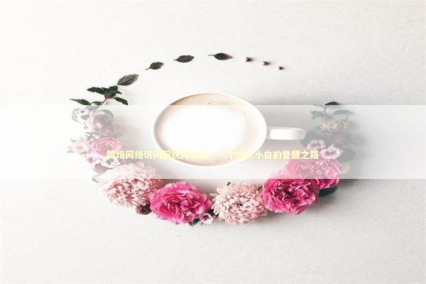 跨境网络访问困扰终结记：一个技术小白的觉醒之路 IT技术