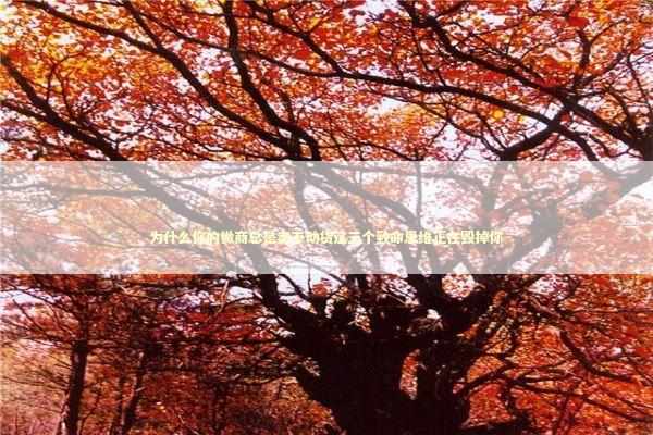 为什么你的微商总是卖不动货这三个致命思维正在毁掉你