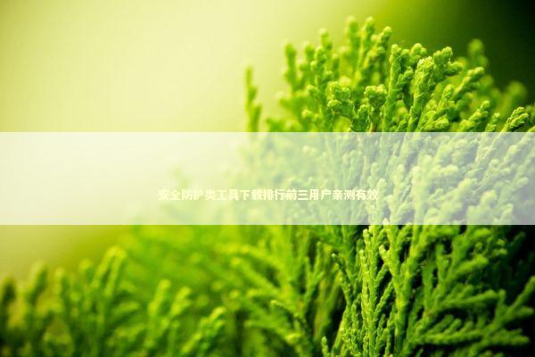 安全防护类工具下载排行前三用户亲测有效 IT技术