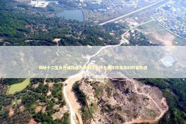 揭秘十二生肖开运饰品大数据这份排名或许改变你的财富轨迹