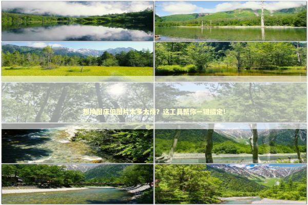 想换图床但图片太多太烦？这工具帮你一键搞定！