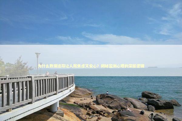 为什么数据追踪让人既焦虑又安心？揭秘监测心理的深层逻辑 新闻